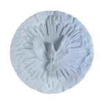 Divino Espírito Santo Resplendor em Resina