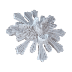 Divino Espírito Santo Resplendor em Resina 12cm