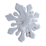 Divino Espírito Santo Resplendor em Resina