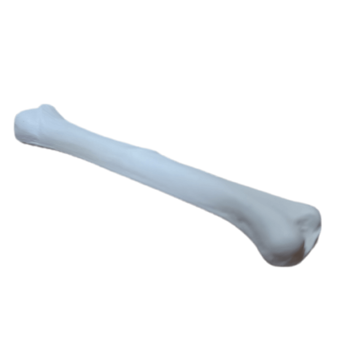 Osso Aplique Confeccionado em Resina