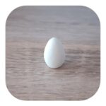 Ovo Confeccionado em Resina 2,5cm
