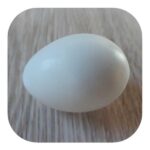 Ovo Confeccionado em Resina para Artesanato 5cm - Imagem 2