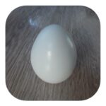 Ovo Confeccionado em Resina para Artesanato 5cm - Imagem 3