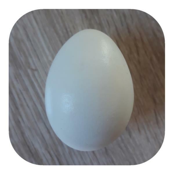 Ovo-Confeccionado-em-Resina-para-Artesanato-5cm.jpg Ovo Confeccionado em Resina para Artesanato