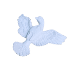 Pomba Divino Espírito Santo em Resina