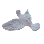 Pomba Divino Espírito Santo em Resina