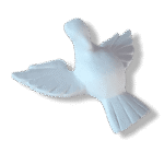 Pomba Divino Espírito Santo em Resina