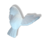 Pomba Divino Espírito Santo em Resina