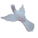 Pomba Divino Espírito Santo em Resina