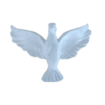 Pomba Divino Espírito Santo em Resina