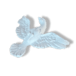 Pomba Divino Espírito Santo em Resina