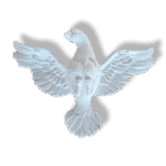 Pomba Divino Espírito Santo em Resina