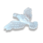 Pomba Divino Espírito Santo em Resina