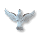 Pomba Divino Espírito Santo em Resina