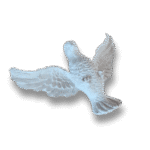 Pomba Divino Espírito Santo em Resina